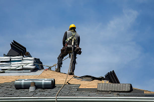 Professional Gutter Installation technician working in Egypt, TX